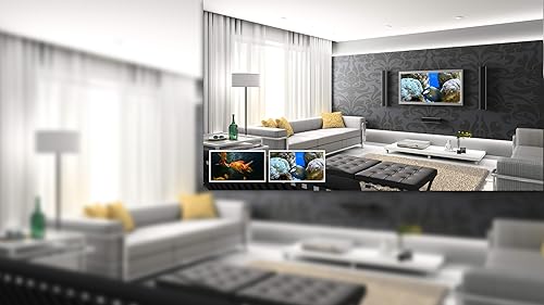 aquário romântico grátis HD - decore seu quarto com um lindo aquário em sua TV HDR 4K, TV 8K e dispo