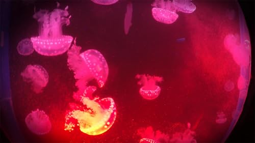 Neon Lights Background