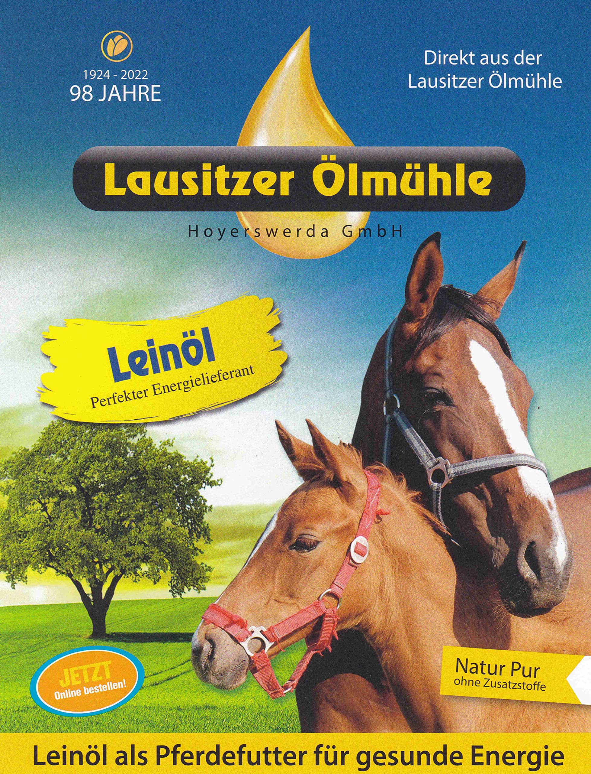20 Liter Leinöl Leinsamenöl frisch nativ kaltgepresstes Leinöl für gesunde Energie 4 x 5 Liter