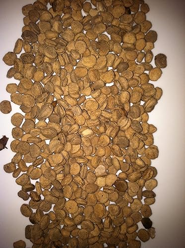 Miniatura 2 de 25 Ginseng semillas Wild estratificada American semillas listo para Planta ahora crecer las Raíces