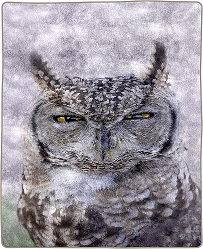 Miniatura 2 de Bedford Home - Manta de peluche con diseño de búho 799 x 898in diseño de animales borrosos de peluche de 55lbs para sofá o cama de Bedford Home