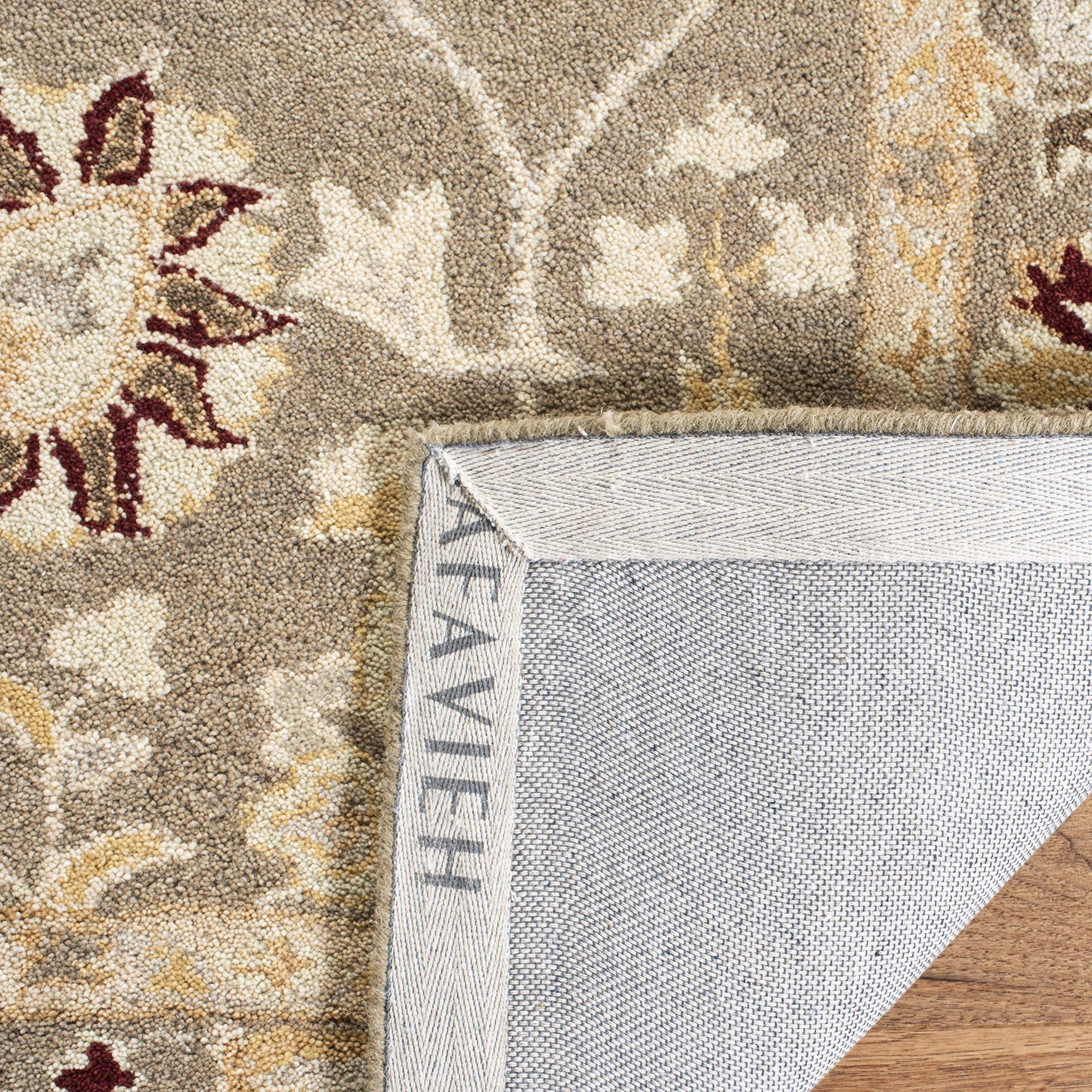Amazon.com: SAFAVIEH Anatolia Collection Area Rug - 6' x 9', Beige
