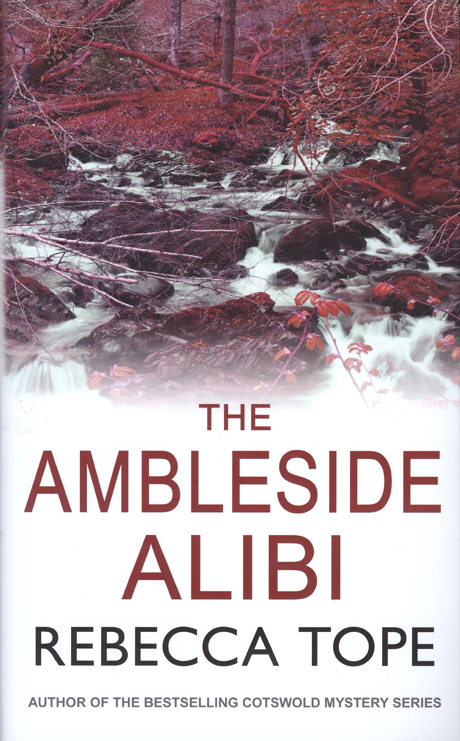 Buy The Ambleside Alibi: 2 (Lake District Mysteries) — BookShops.in