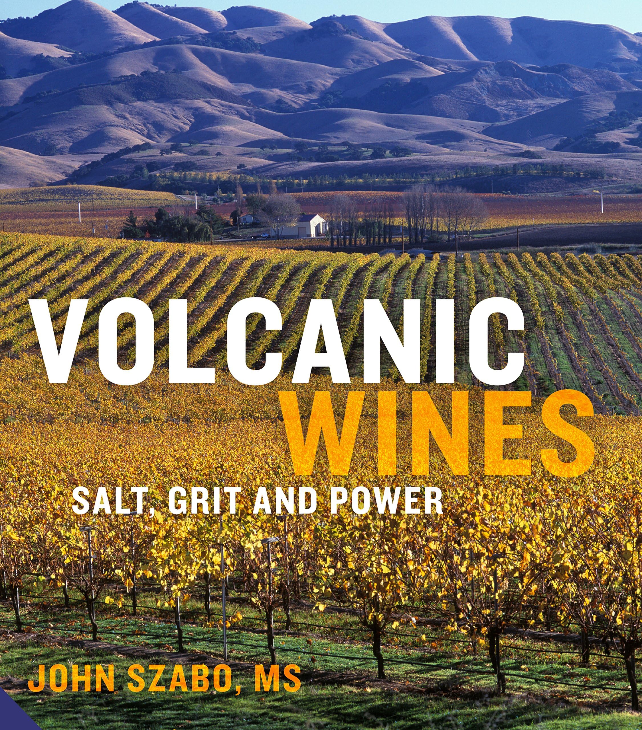 Volcanic Wines: Salt, Grit and Power