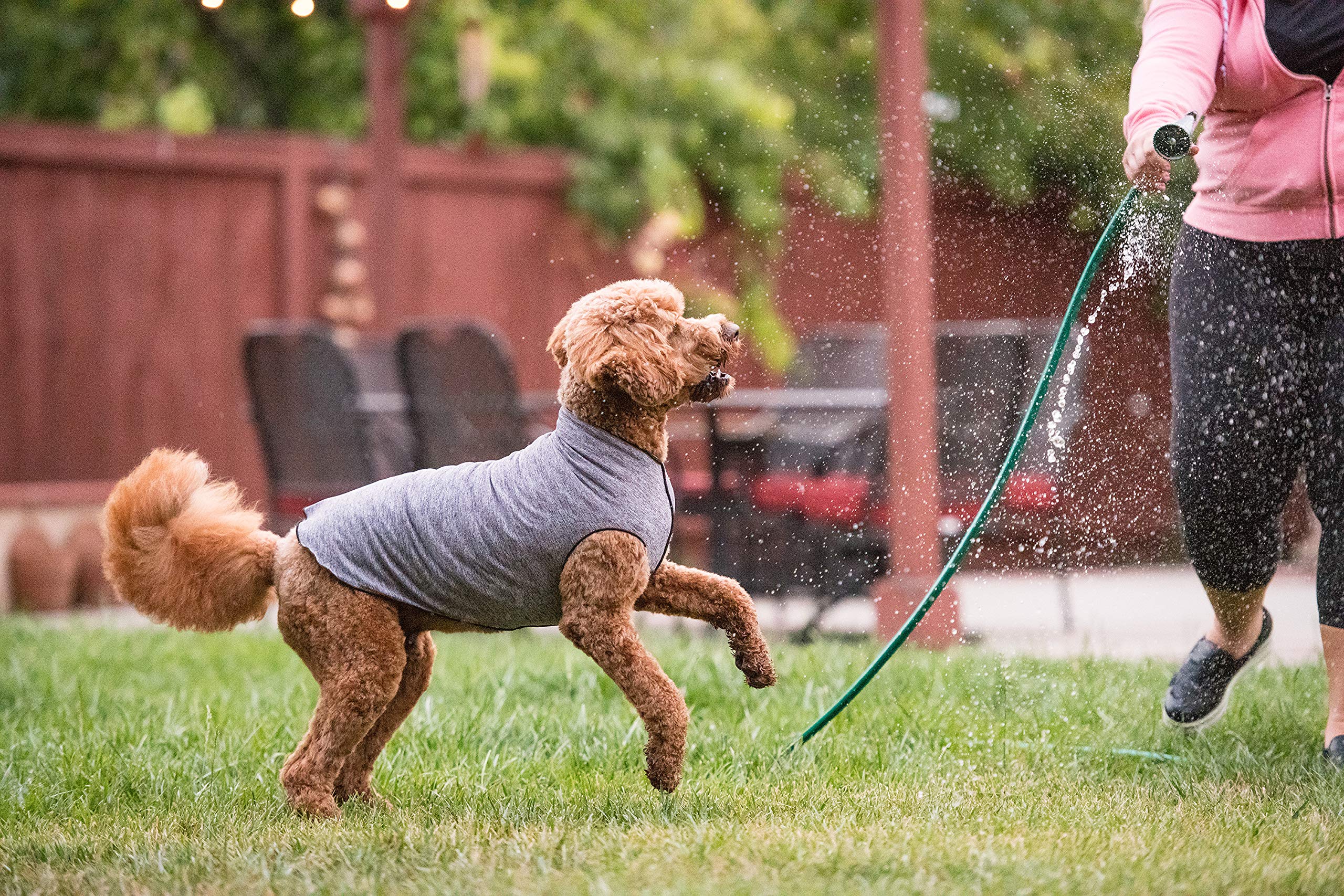 新品Gold Paw Sunshield Size8 小型犬用 紫外線カット Amazon.com : Gold Paw Sun Shield Dog Tee – T-Shirt for Canines
