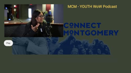 Connect Montgomery – vue 3