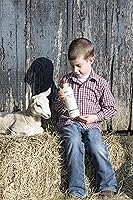 Vista 3 de Neogen Ideal 7004 Lamb & Kid Bottle 16oz w/Red Screw-On Teat