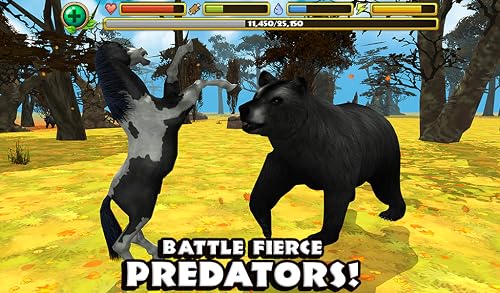 Wild Horse Simulator