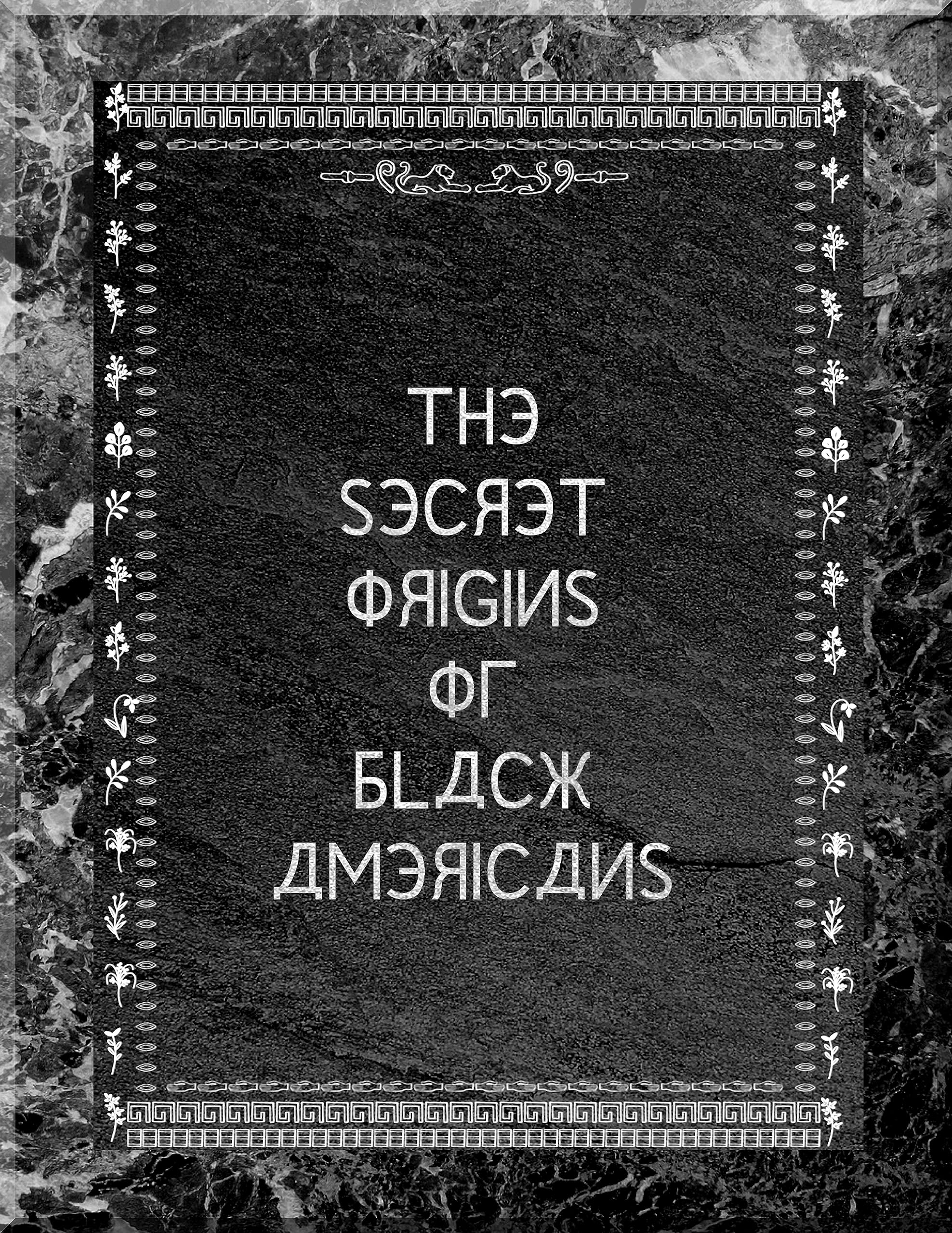 The Secret Origins of Black Americans : Preserving History, Ethnicity, and Culture in the Face of an Ethnocide by Eurocentrists and Afrocentrists -Includes Genealogy Guide