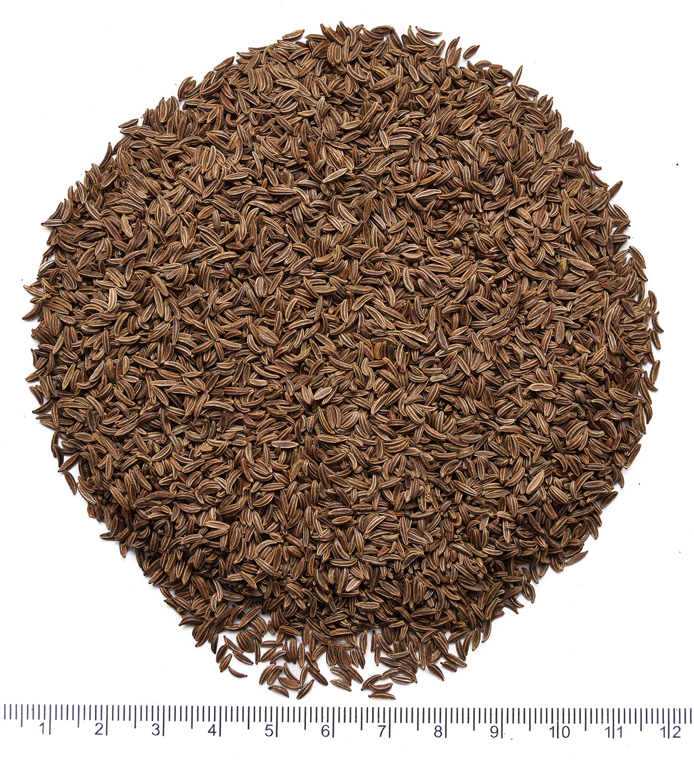 Graines de carvi (Carum carvi fructus), riches en huile essentielle, d'origine Européenne 1KG