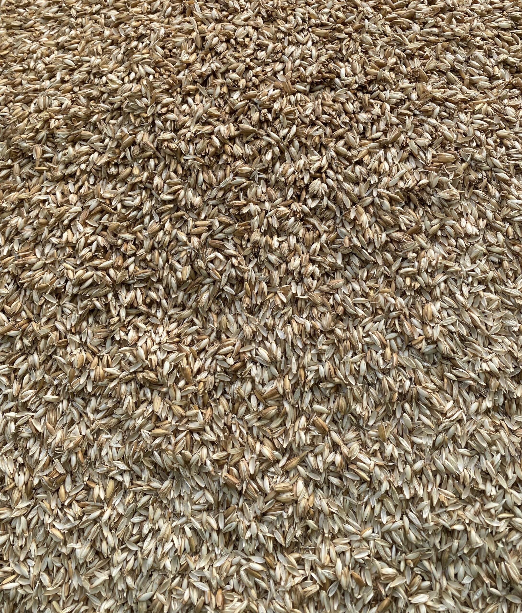 Generisch SpelzKraft Dinkelspelzen Bio lose, 1,5 kg bis 20 kg, Gereinigt und Entstaubt, Spelzen für Kissen und Dinkelspelz als Einstreu geeignet für Pferde (20, Kilogramm)
