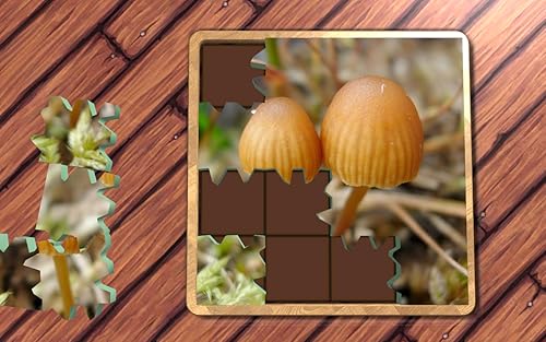 Super Jigsaws Plants FireTV