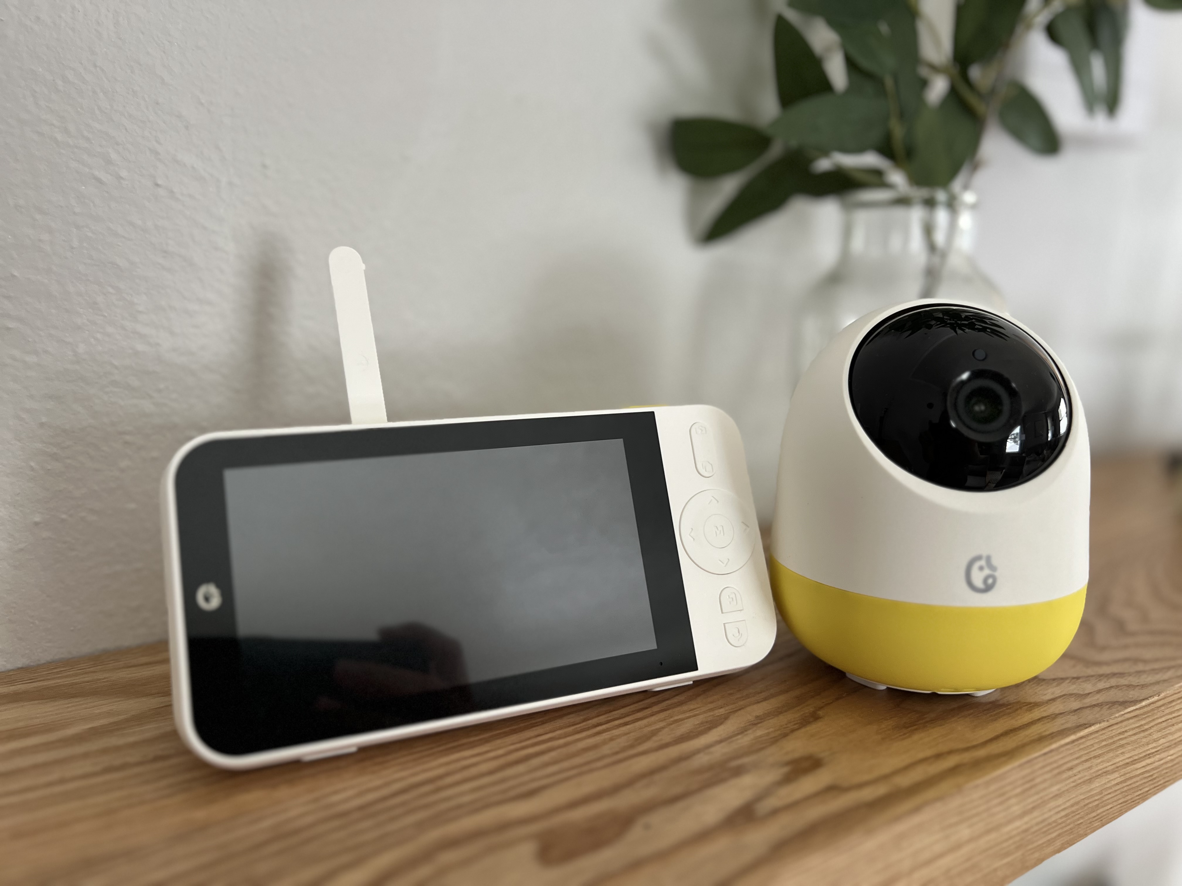 Watch Ellie monitor tons of great features on Amazon Live