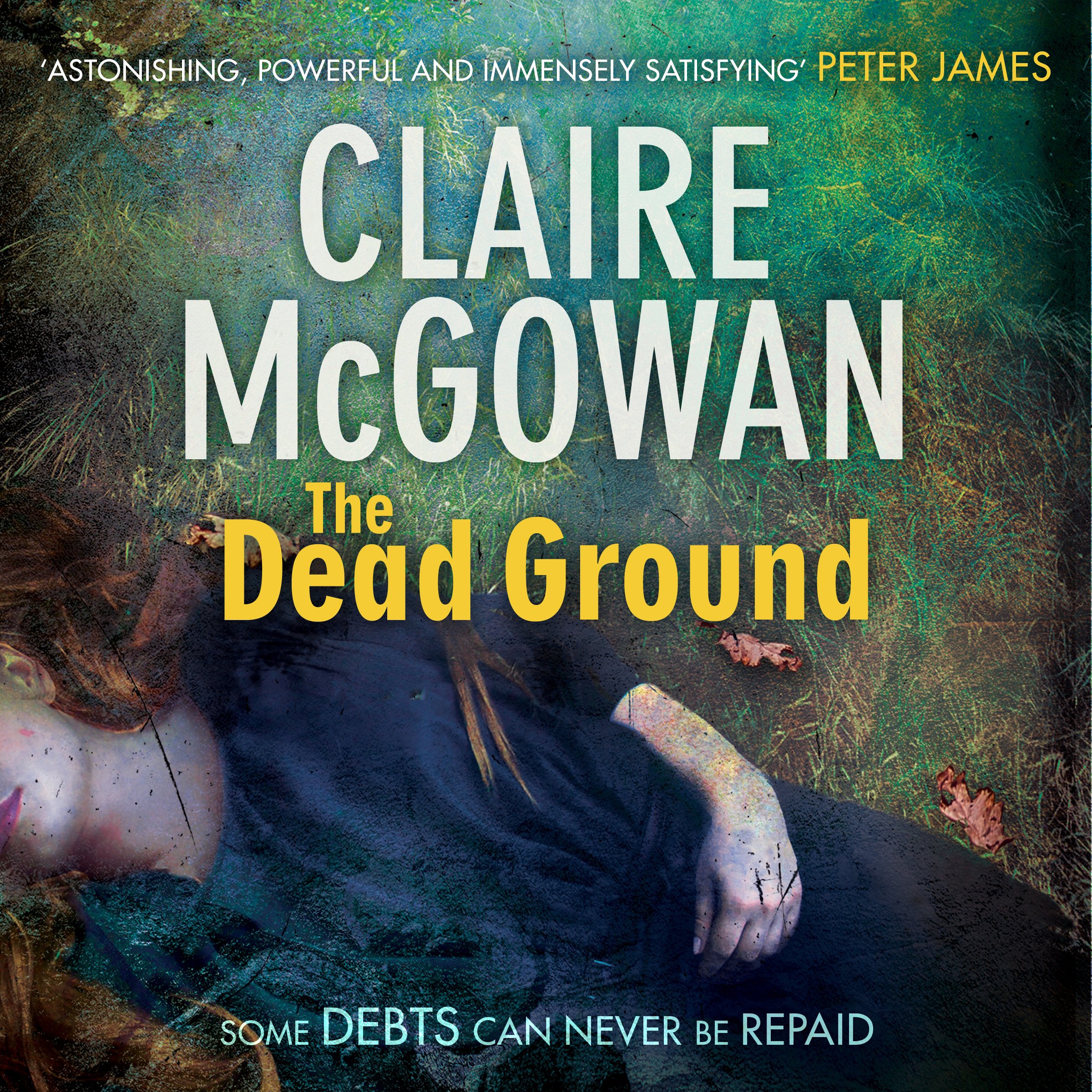 Cover art for The Dead Ground