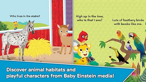 Baby Einstein: Storytime – vue 5
