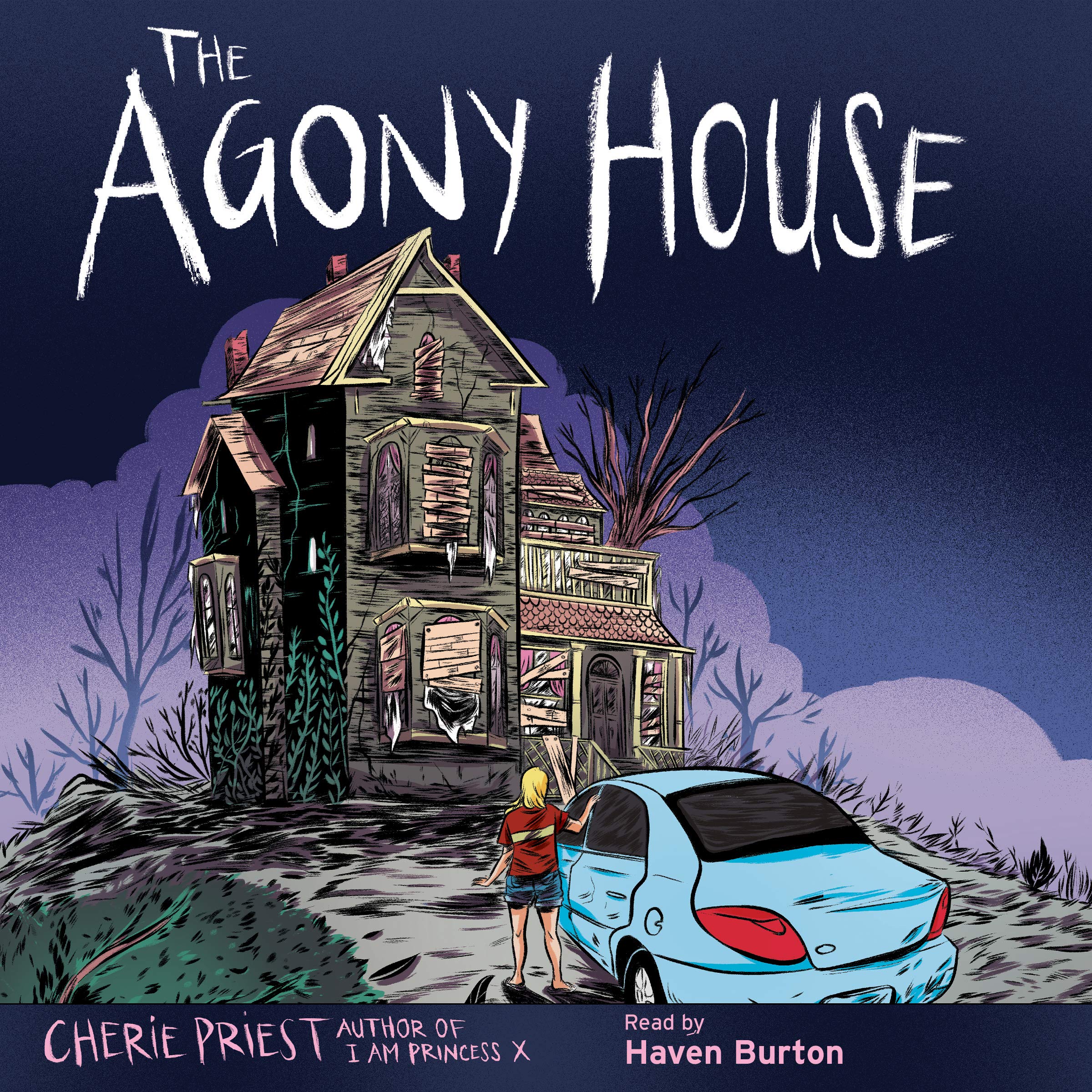 Cover art for The Agony House