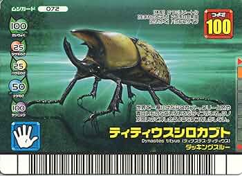 A1A2soin2sL._AC_UF350,