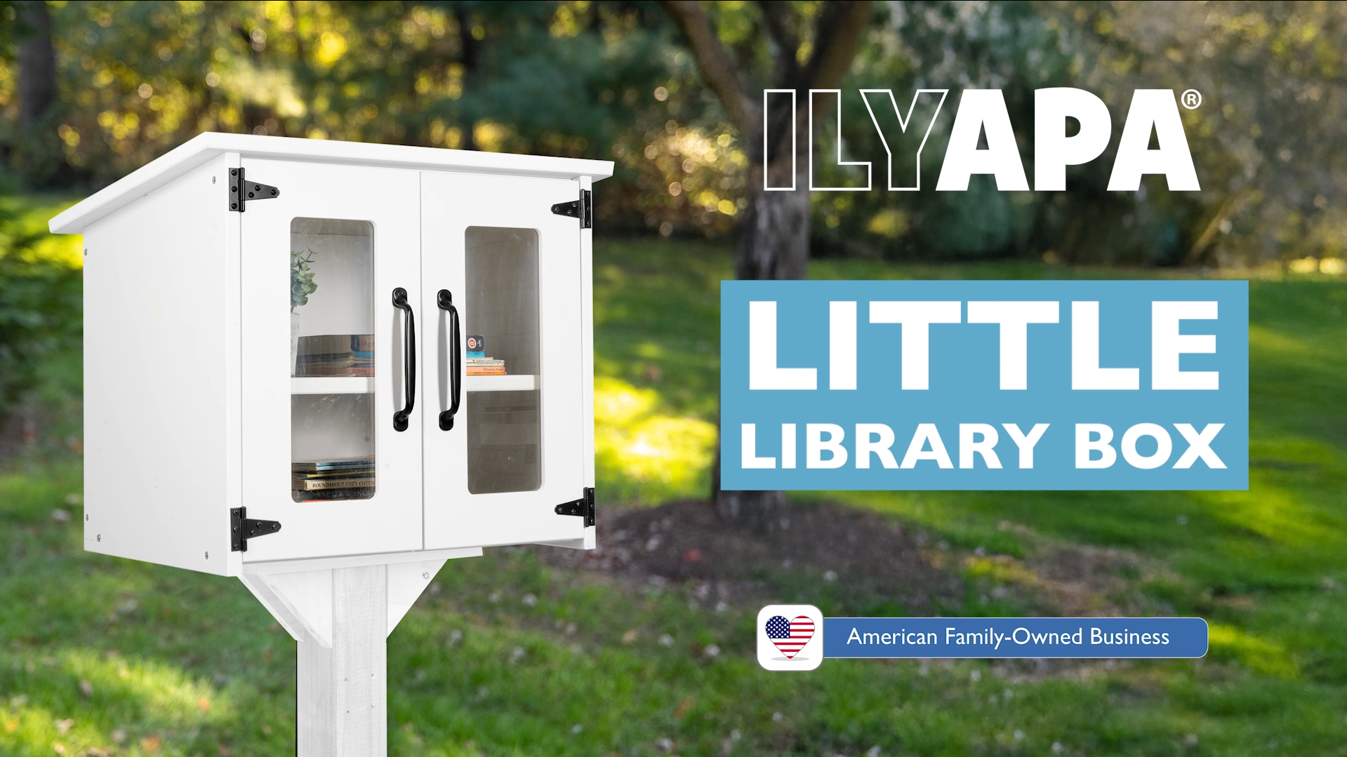 Amazon.com: Ilyapa Little Library Box Outdoor - 22x14x19 Inch