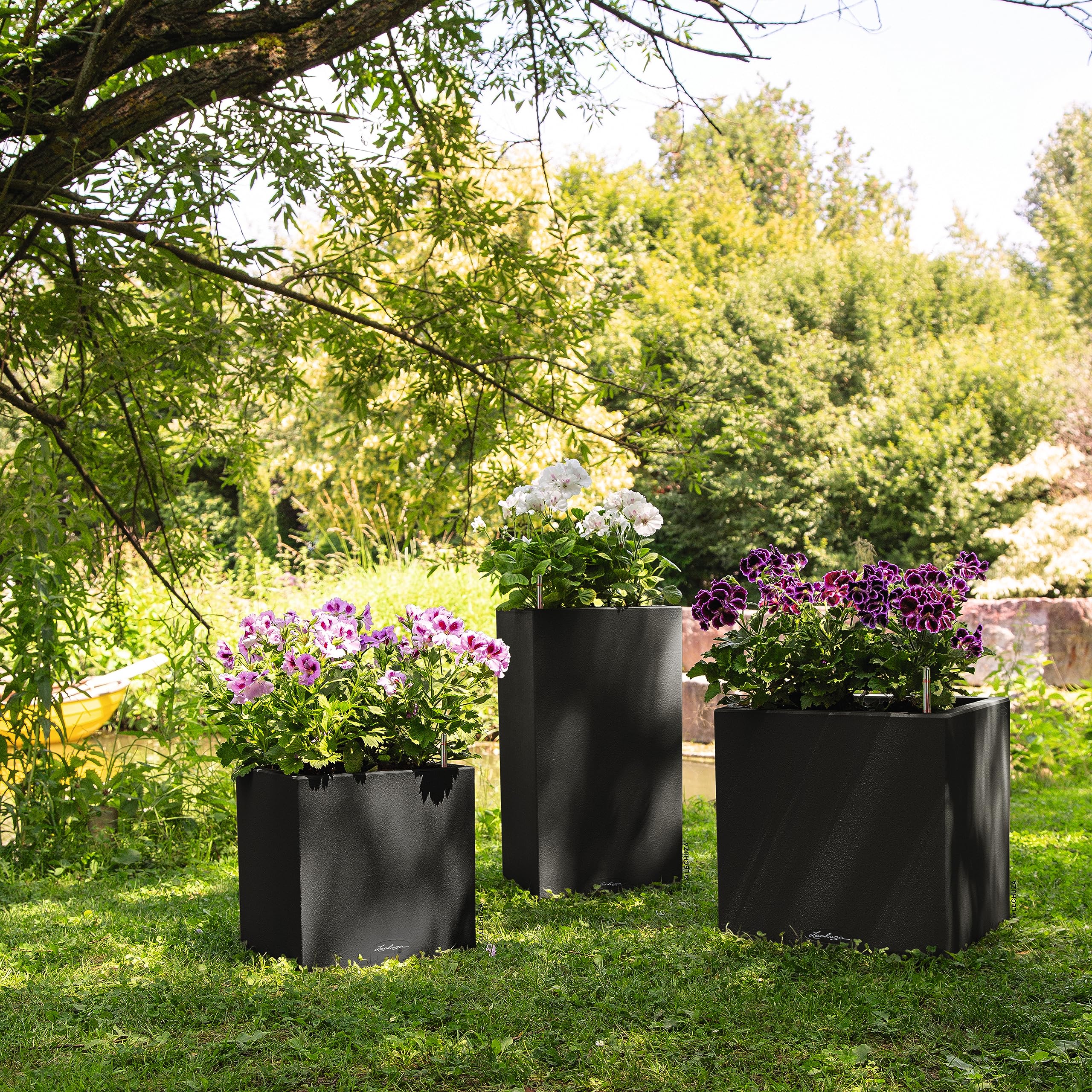 Lechuza Canto Stone 40 Low Grafito Negro 13722