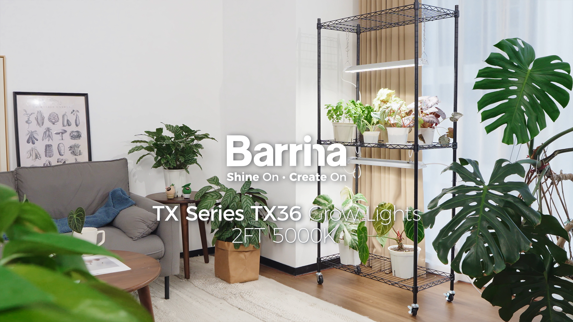 Image of Barrina TX18 1FT Grow Light, 72W(4 x 18W, 360W Equivalent), High PPFD, Full Spectrum with 660nm Red LEDs, Grow Light Strip for Indoor Plants with On /Off Switch, Mechanical Timer, Linkable, 4 Packs