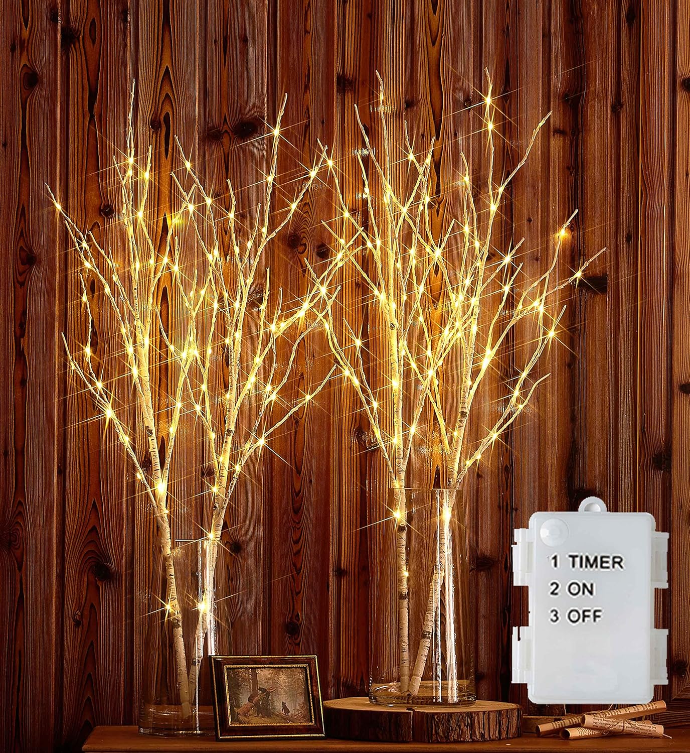 Hairui Lighted Artificial Twig Birch Tree Branch with Fairy