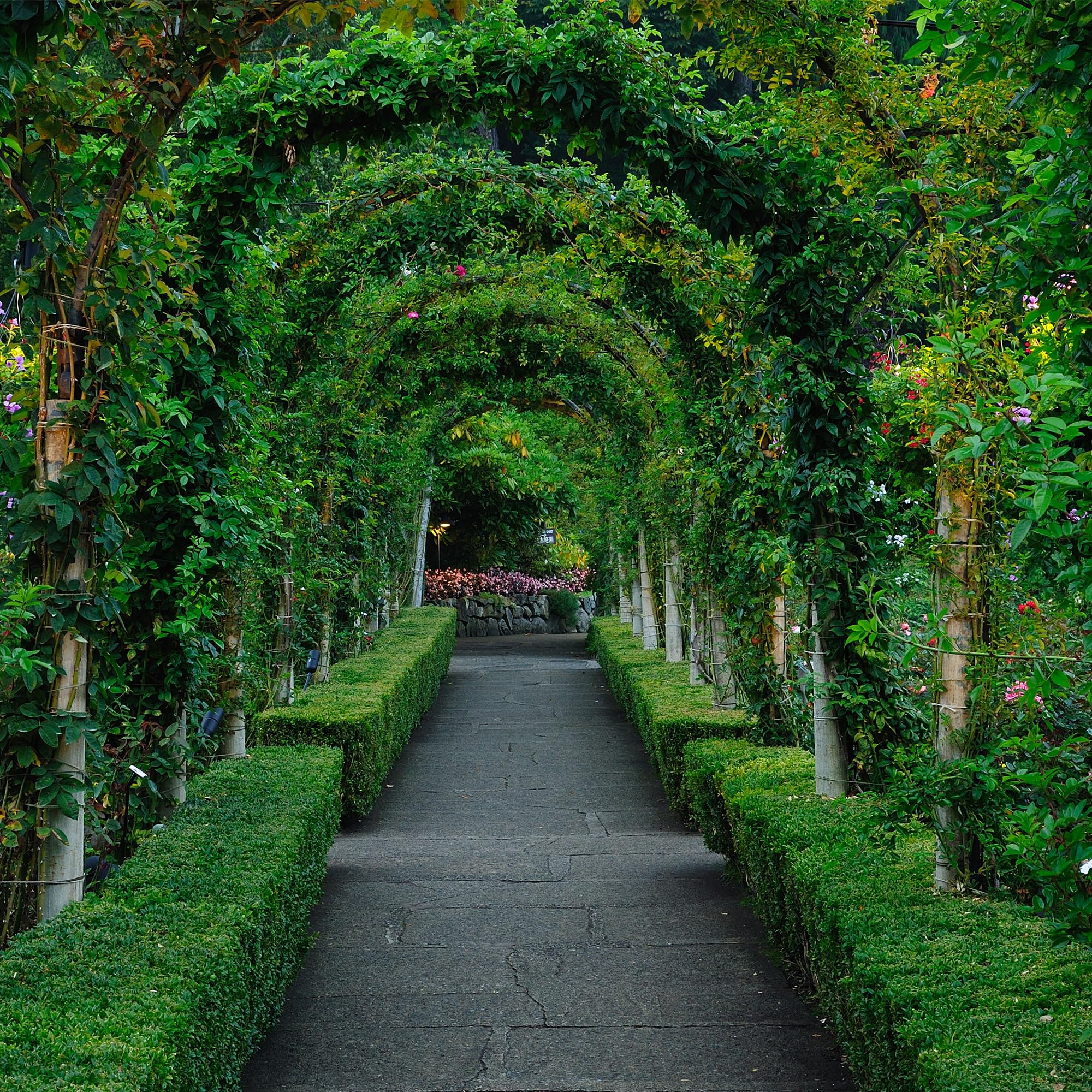 View 2