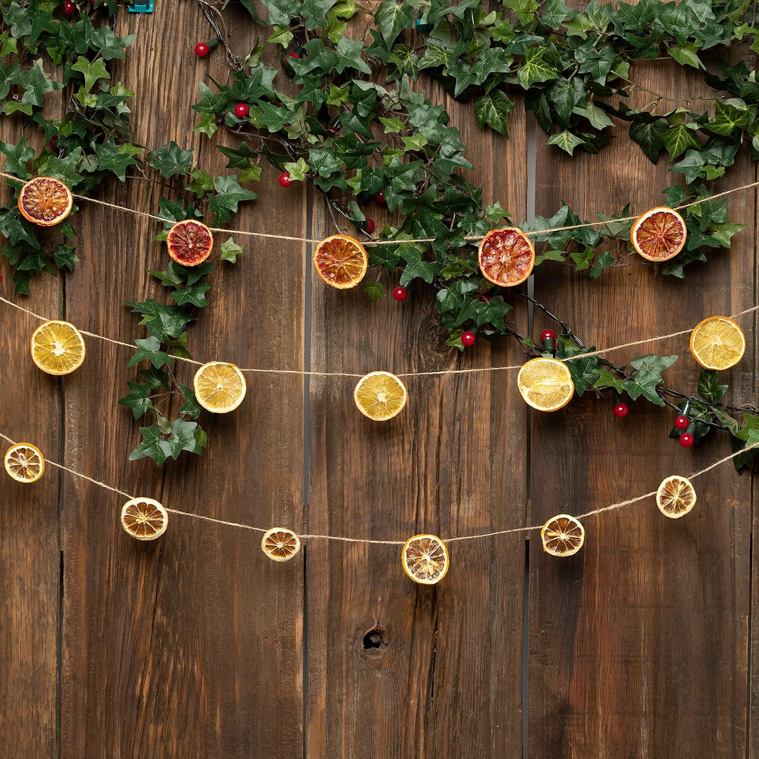 Buy Tastella Food 3Pack Dehydrated Orange, Lemon, Blood Orange Slices