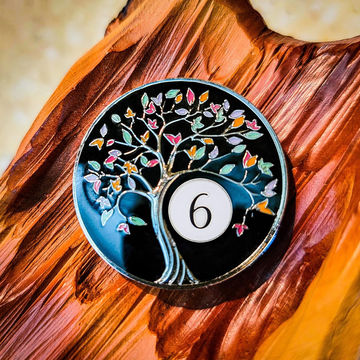 6 Year Tree of Life Sobriety Chip with Pink AA Coin Holder Keychain Set