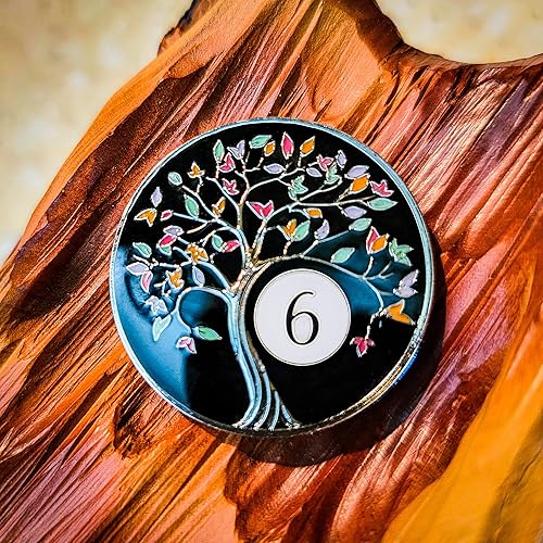 Vista 40 de Chip de sobriedad de 10 años Medallón de ficha de moneda AA del árbol de la vida con aniversario de recuperación que brilla en la oscuridad