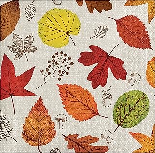 Creative Converting Happy Harvest Beverage Napkins, 5