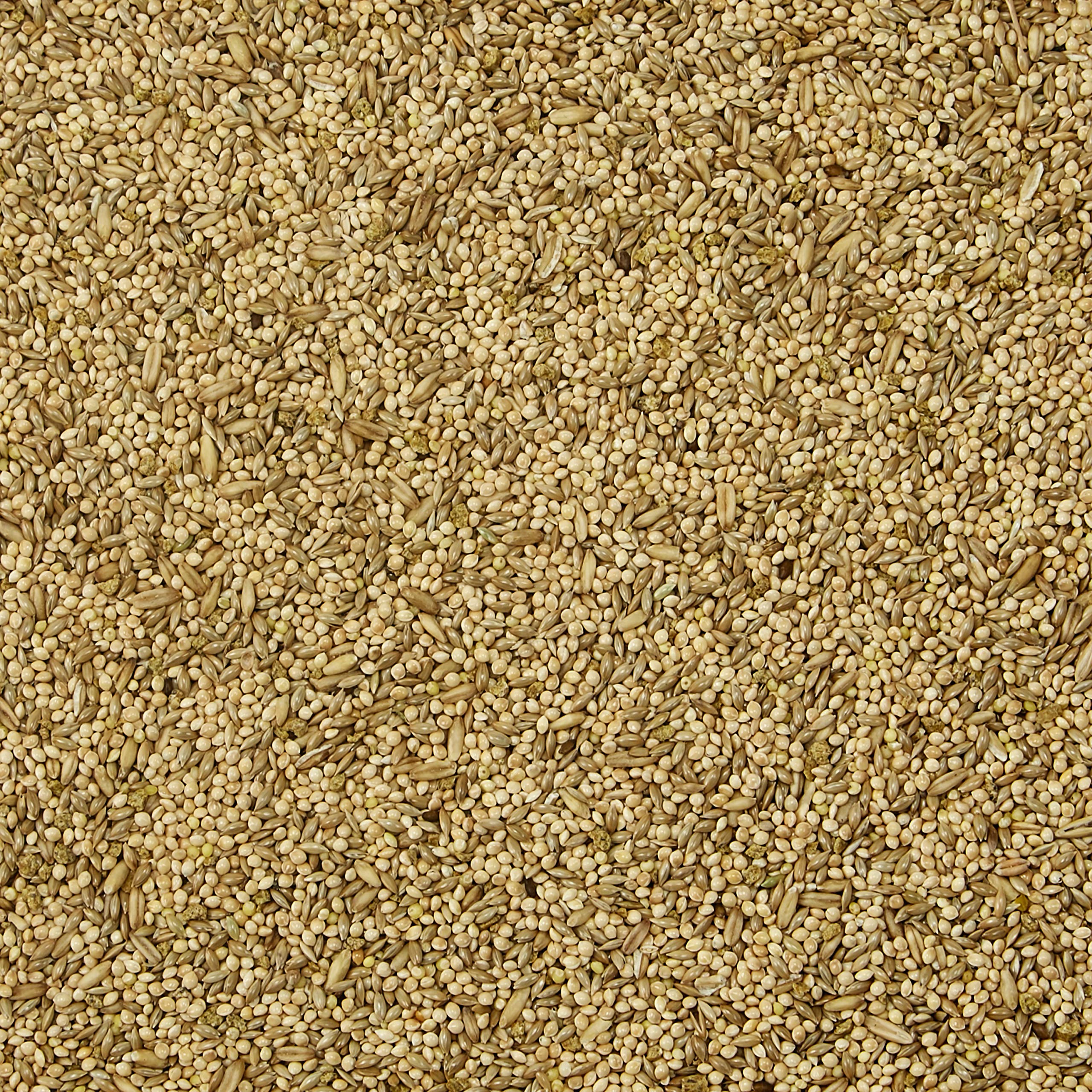 Kaytee Supremo pájaro Alimentos para Parakeets