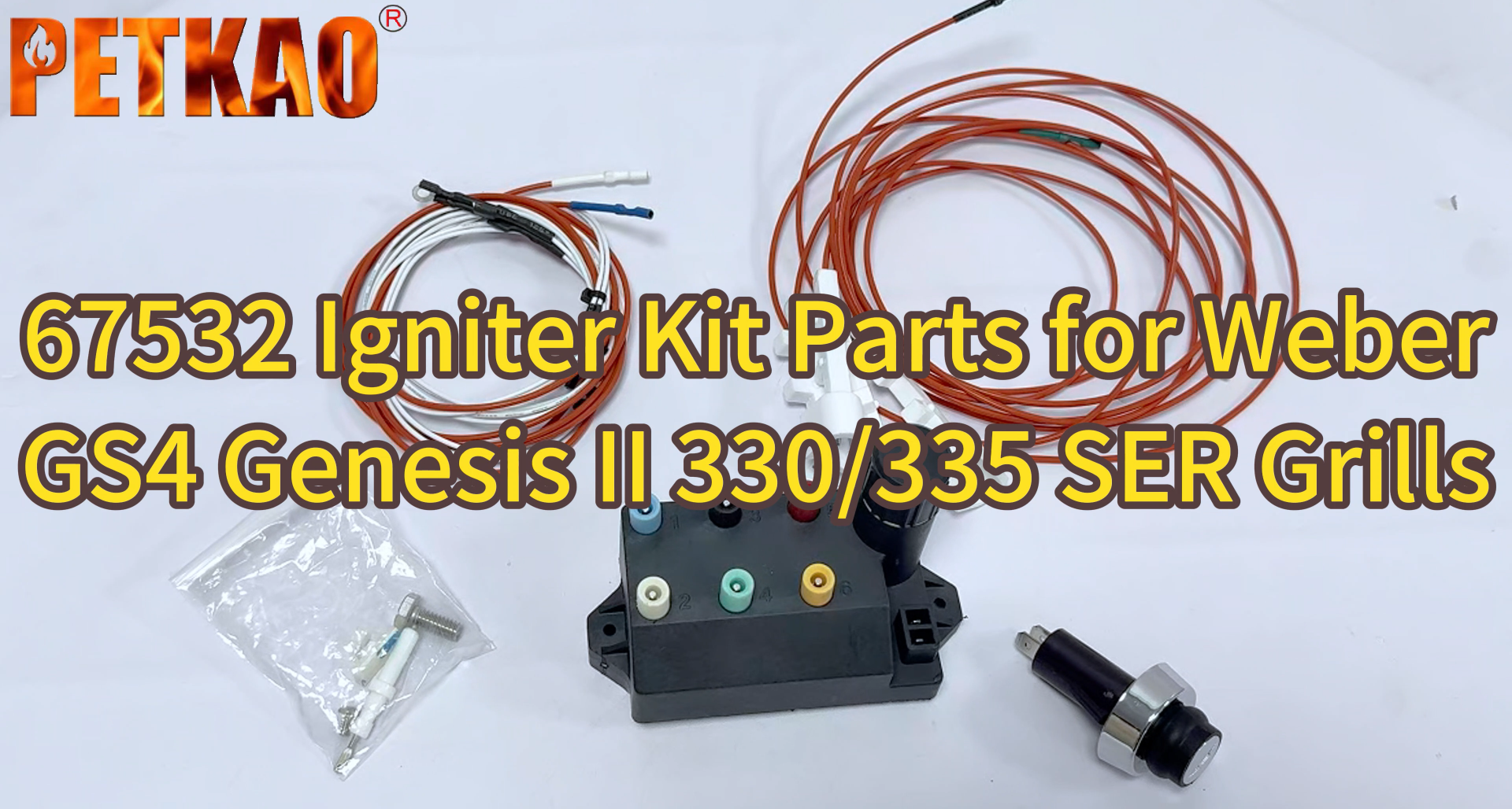 Amazon.com : 67532 Igniter Kit for Weber GS4 Genesis II 330/335
