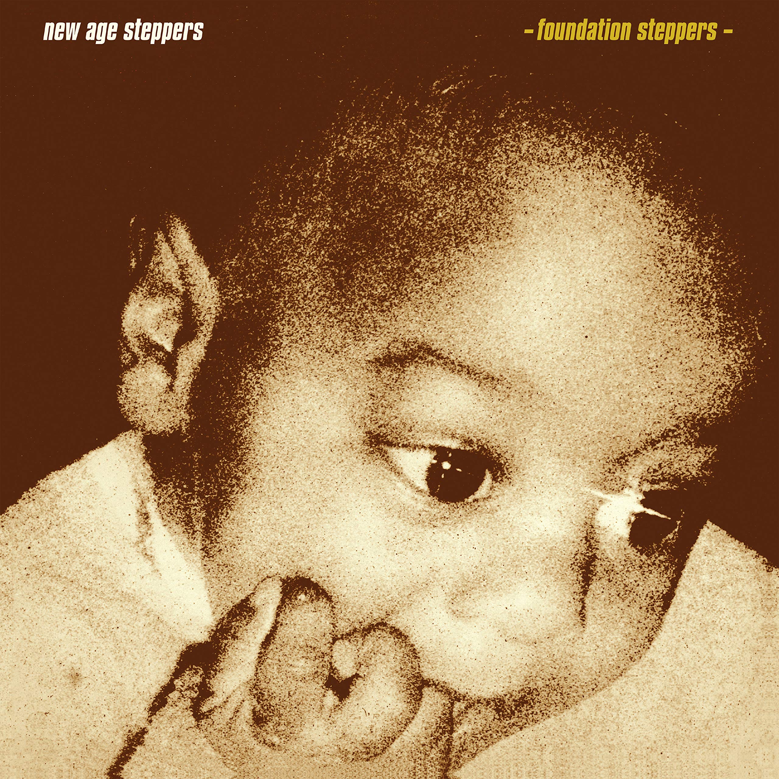 Stepping Into A New Age 1980 - 2012 [解説付 / 国内仕様輸入盤 (BOX) ] (BRONU149)