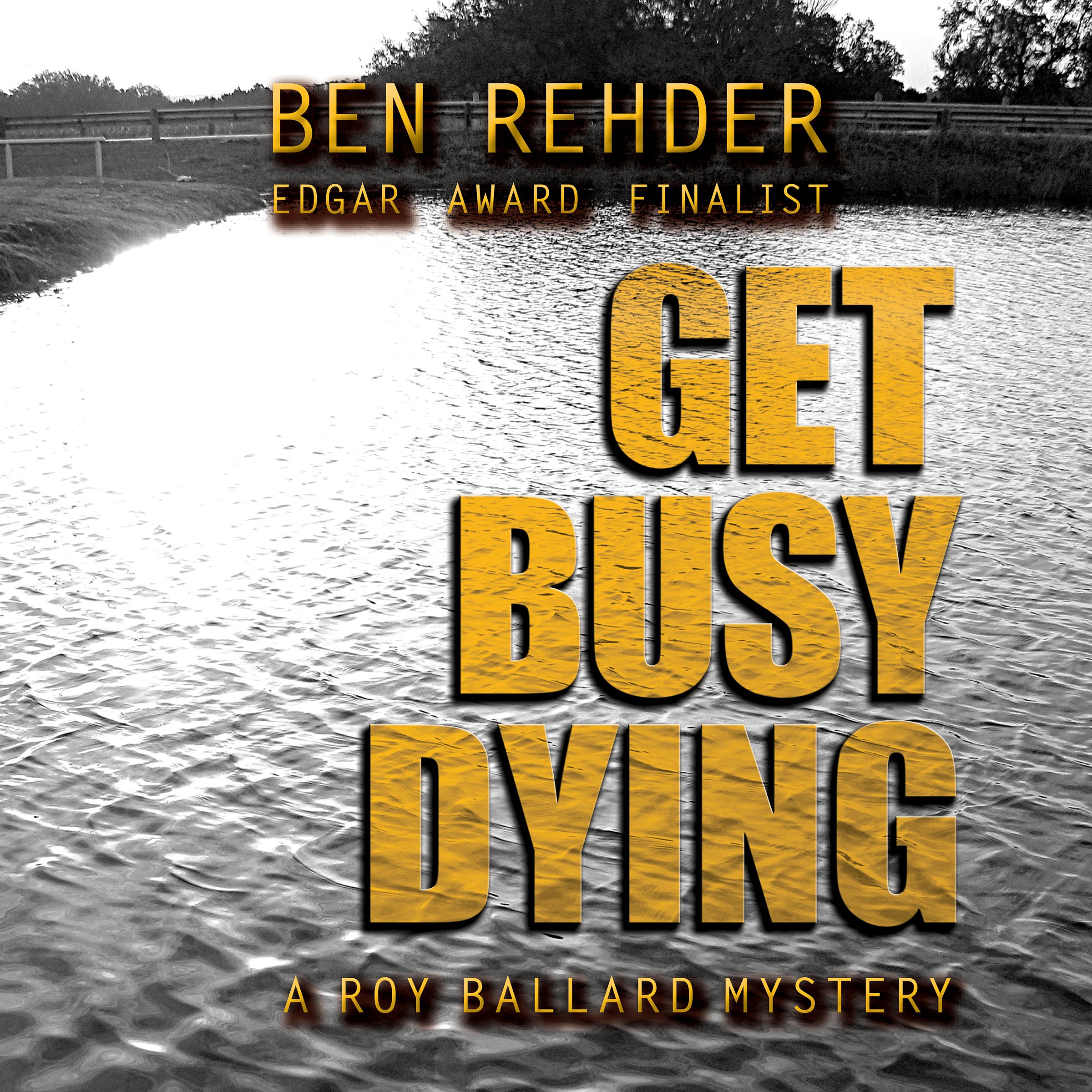 Cover art for Get Busy Dying