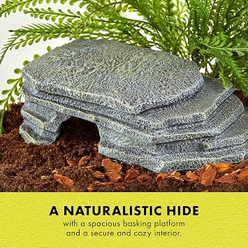 Zilla Herp Hotel Naturalistic Hide, Bearded Dragon Basking Platform