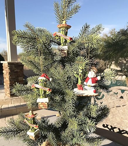 Miniatura 7 de Adorno navideño de resina con diseño de cactus de Charro Feliz Navidad (Arizona, Namedrop)