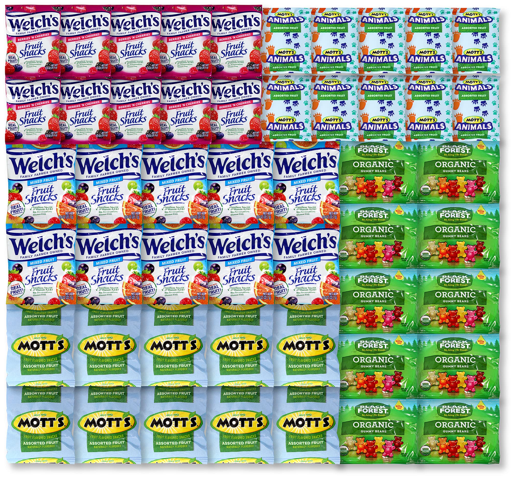 Buy Fruit Snacks Bulk Individually Wrapped, Fruit Assorted Flavors Snack Pack 50 Packs 10 of