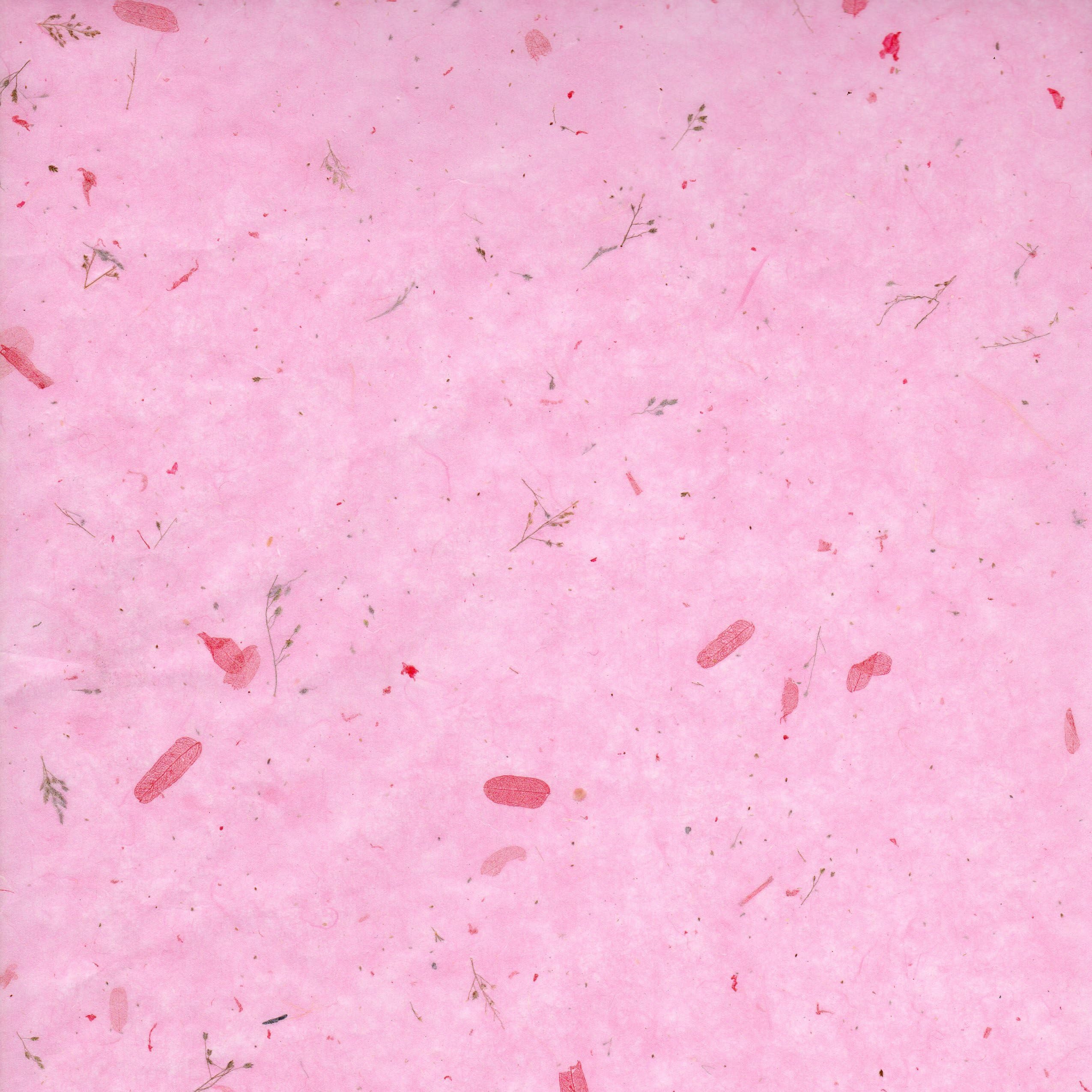 Ayfee Screen Protector Tempered Glass,[Anti-Fingerprint][No-Bubble][Scratch-Resistant] Glass Screen Protector