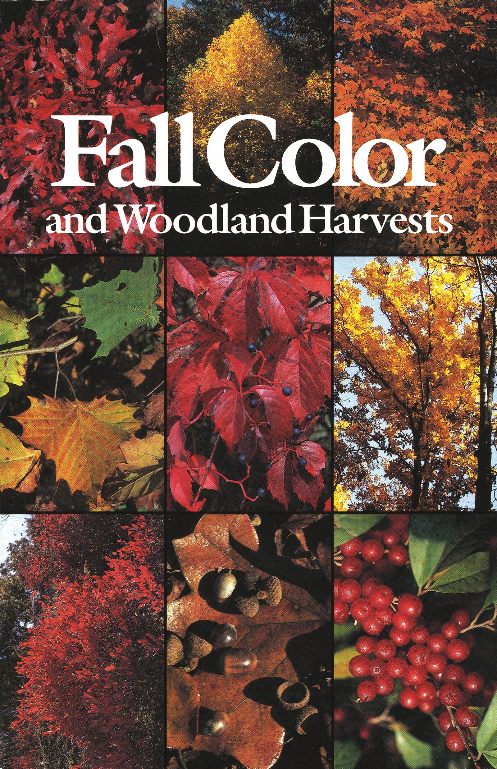 C Ritchie BellFall Color and Woodland Harvests: A Guide to the More Colorful Fall Leaves and Fruits of the Eastern Forests
