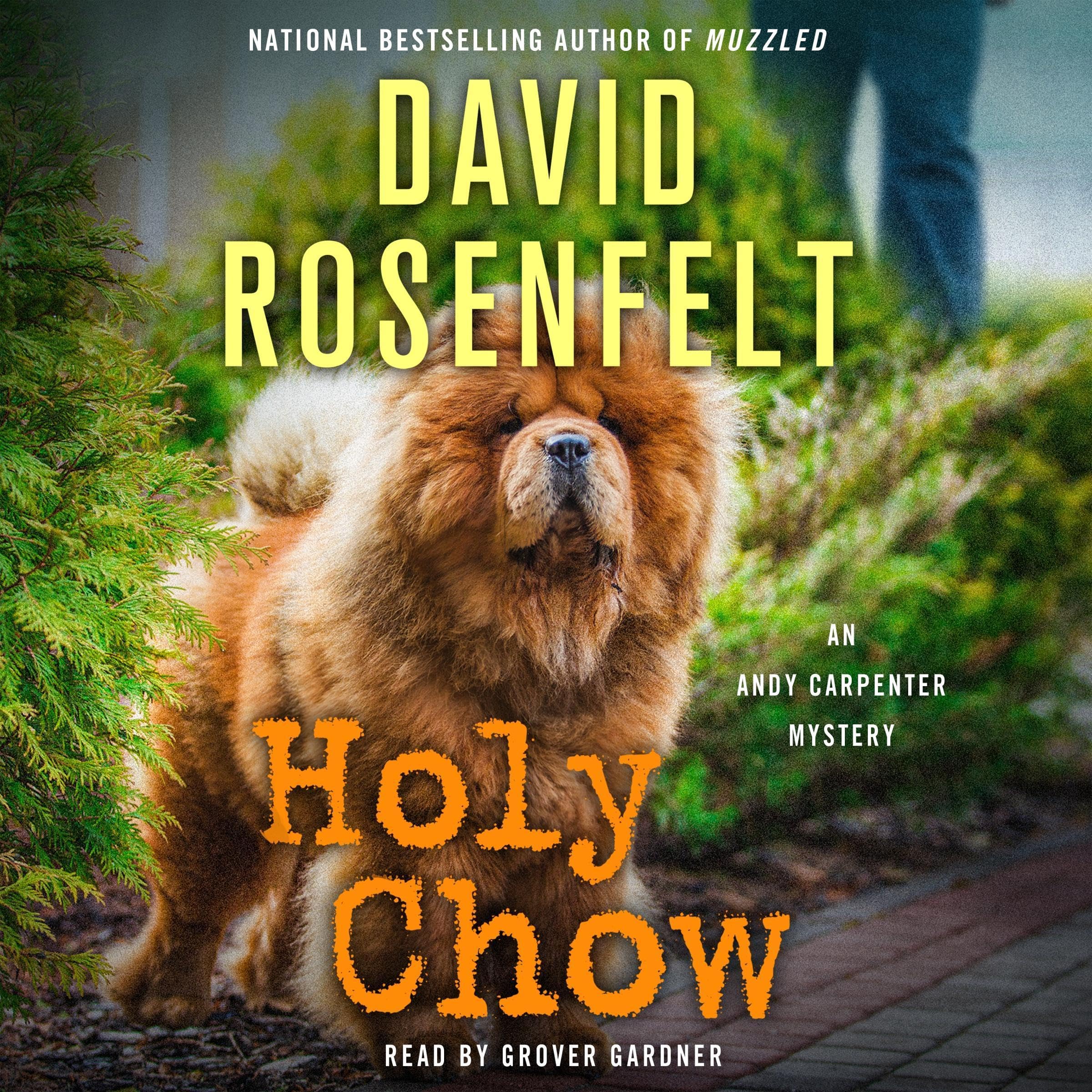 Cover art for Holy Chow