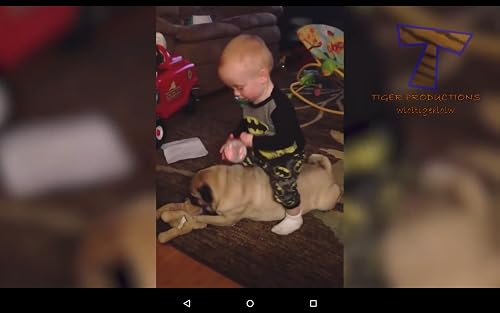 Funny Videos – vue 2