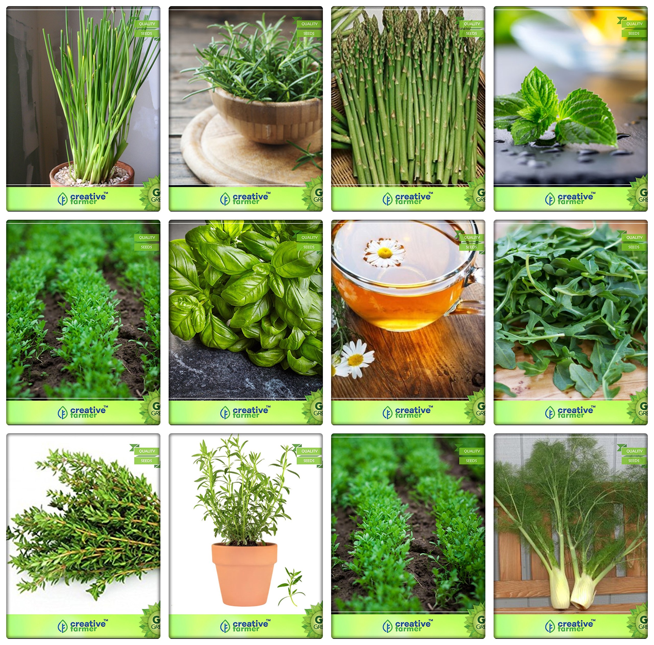 Creative Farmer Herb Seeds Combo For Kitchen Garden Chives, Rosemary, Asparagus, Mint, Cress Common, Lemon Basil, German Chamomille, Wild Rocket, Thyme English Winter, Terragon and Others -2 Packs (B078V4CVYL) Amazon Price History, Amazon Price Tracker