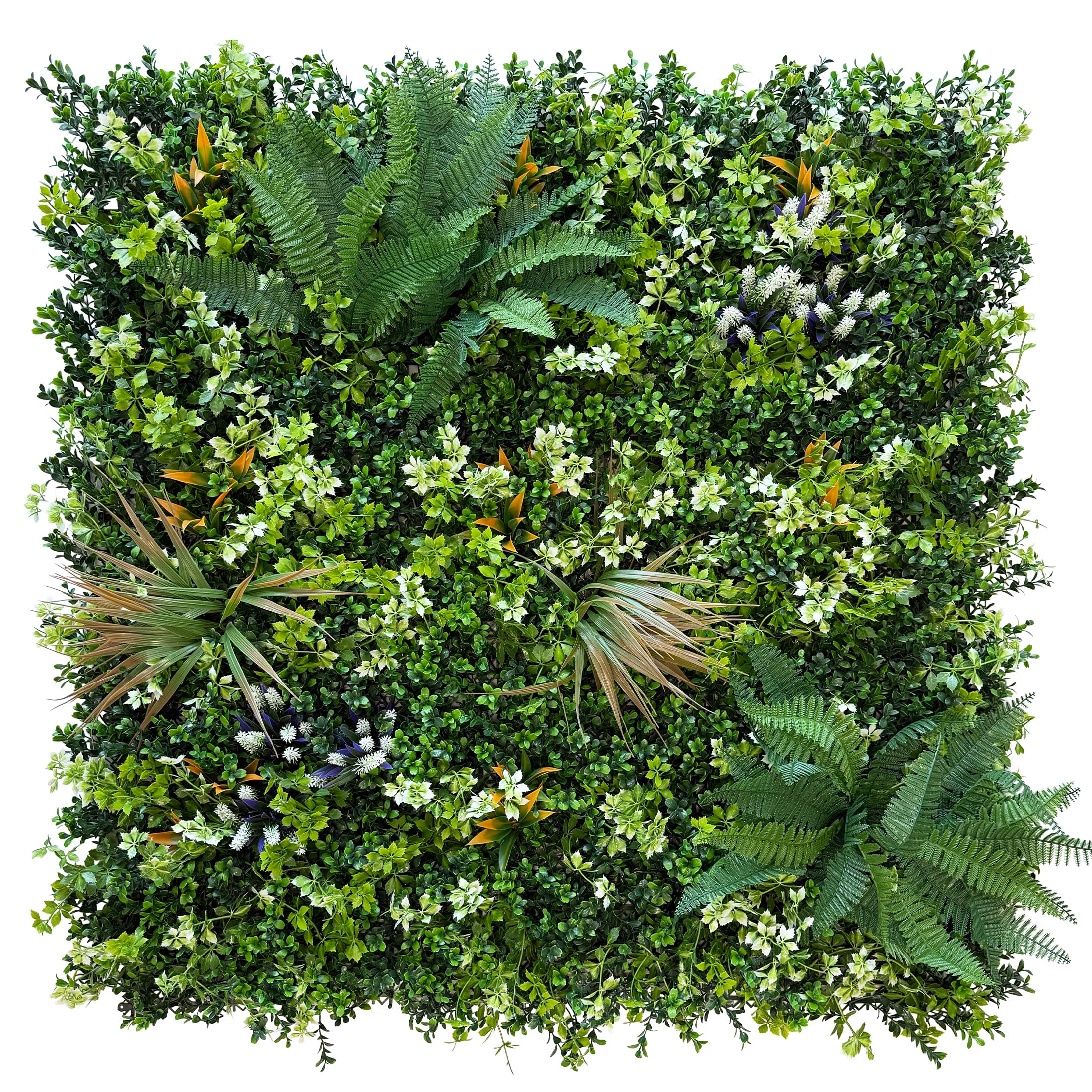 Photo 1 of BHXCL Artificial Boxwood Hedge Panels - 20"x20" (12 Pcs)