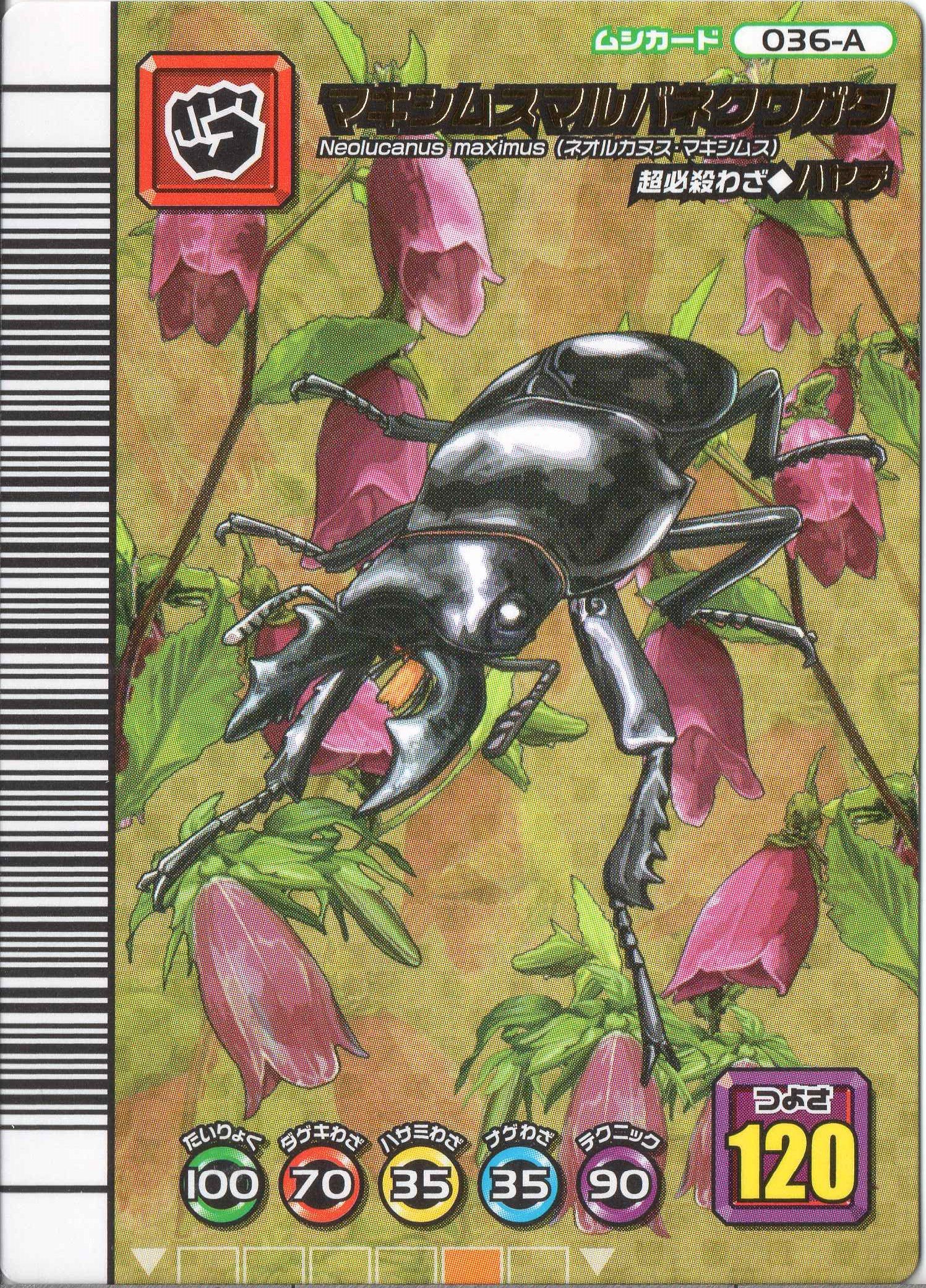 Amazon.co.jp: ムシキング MUSI-036A-5th1 マキシムス