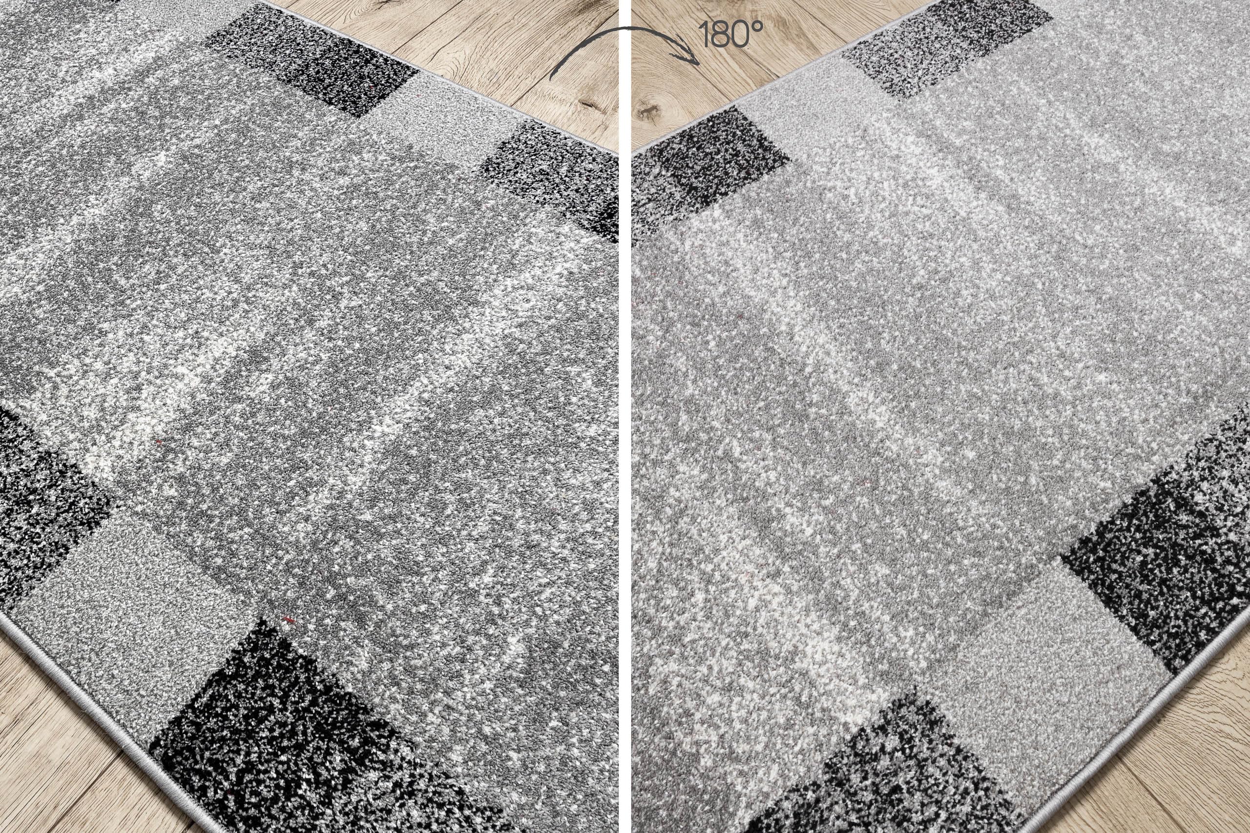 rugsx Tapis de Couloir Silver Etna Cadre, Sable, Tapis d'entrée, Tapis de Cuisine, Tapis de Couloir, Moderne, diverses Tailles, Gris 80x300 cm