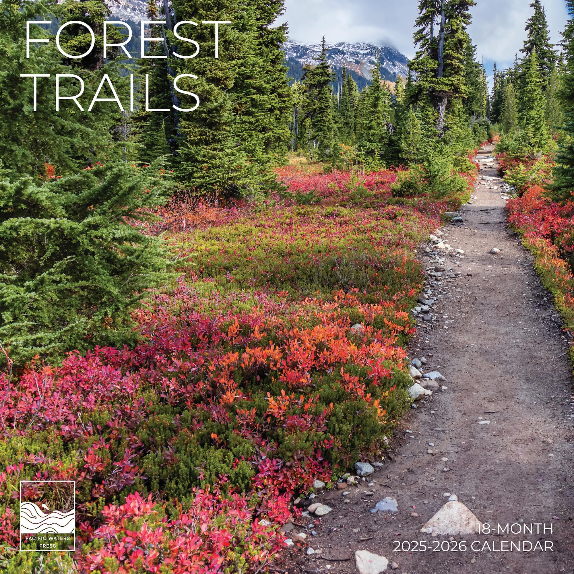 Forest Trails Wall Calendar | 18 Month Calendar | 12" x 24" Open | Giftable Nature Calendar 2026 | Thick & Sturdy Paper for Organizing & Planning |