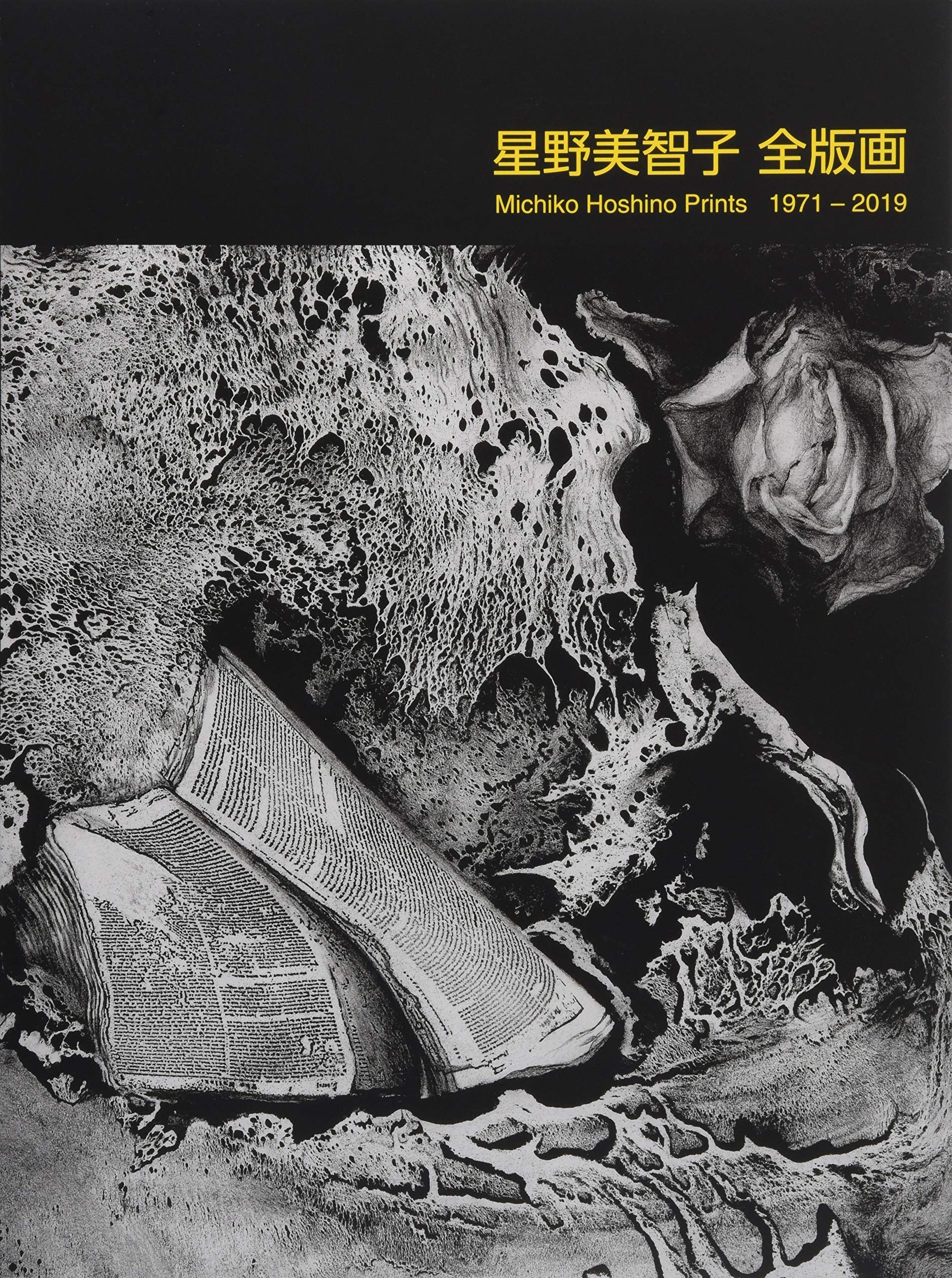 星野美智子 全版画 1971-2019 | 星野美智子 |本 | 通販 | Amazon