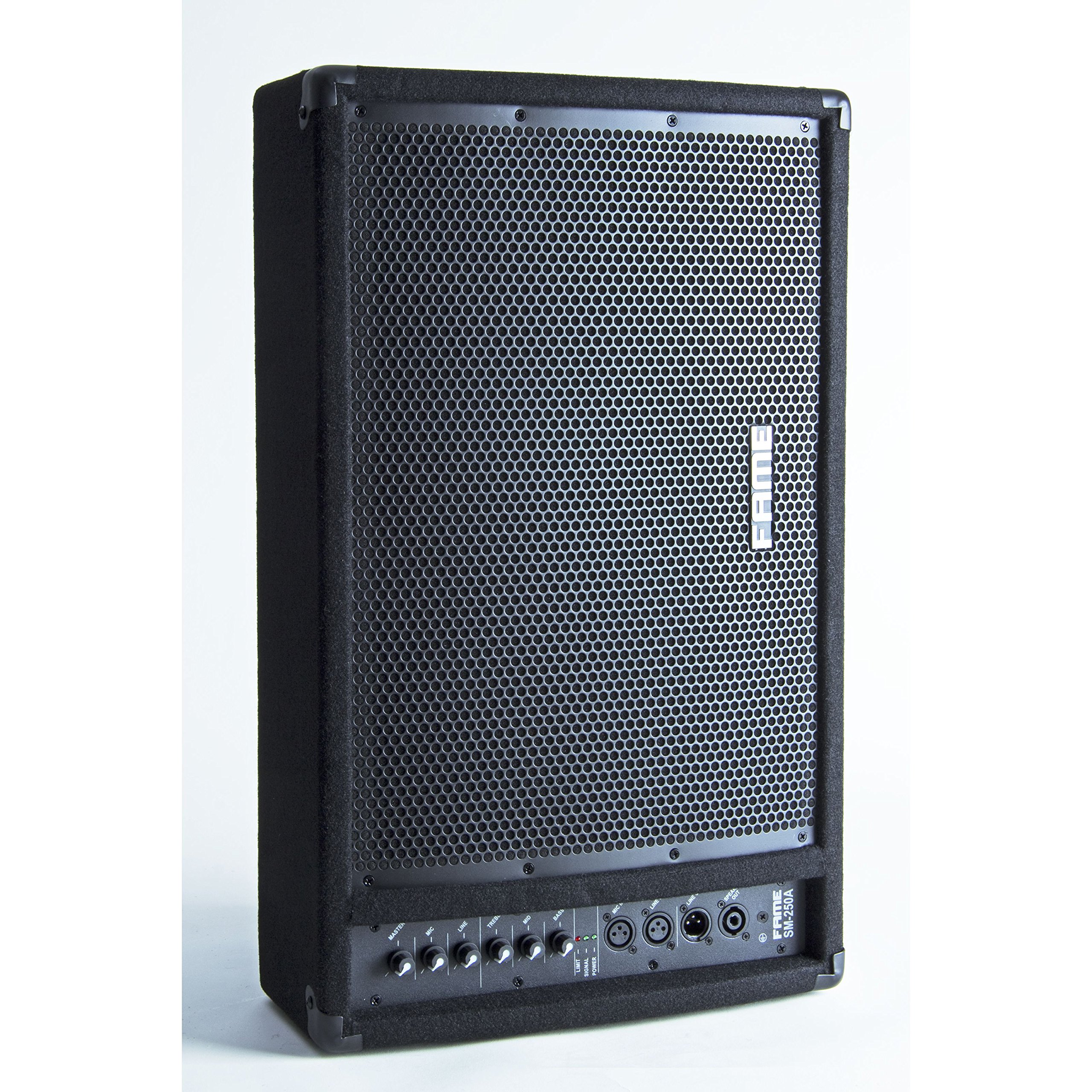 Fame Audio SM-250 A Aktivmonitor 12"/1", 2-Weg Monitor, 300W RMS Leistung, 118dB SPL, Anpassbarer EQ