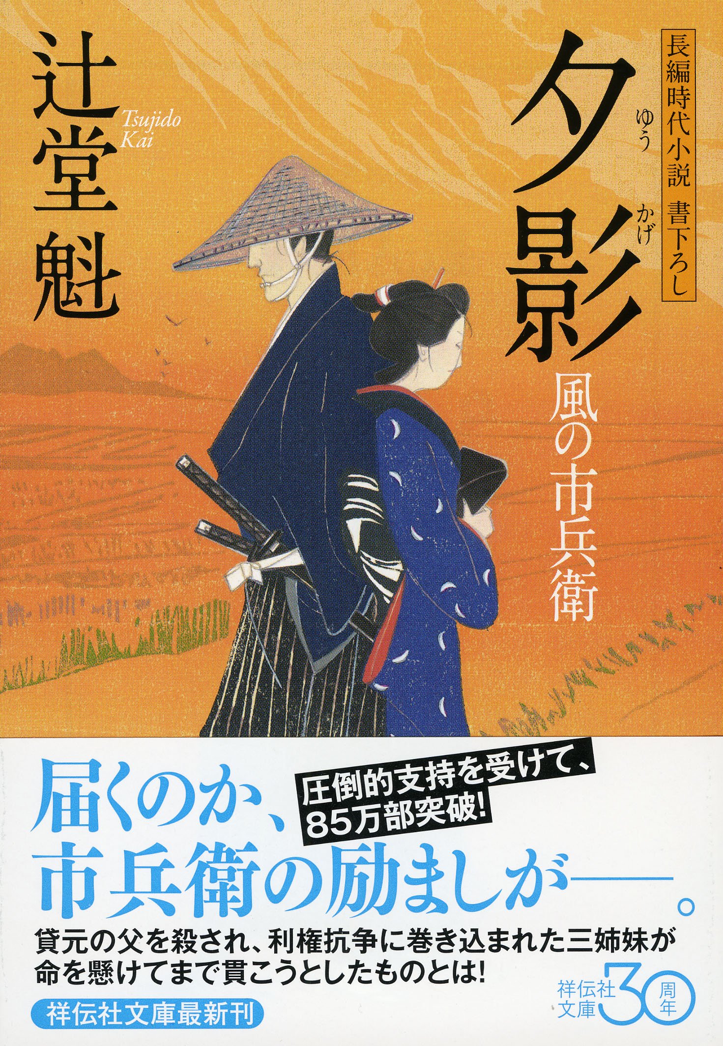 辻堂魁　風の市兵衛
1〜33 Amazon.co.jp: 風の市兵衛[1] (祥伝社文庫) 電子書籍: 辻堂魁