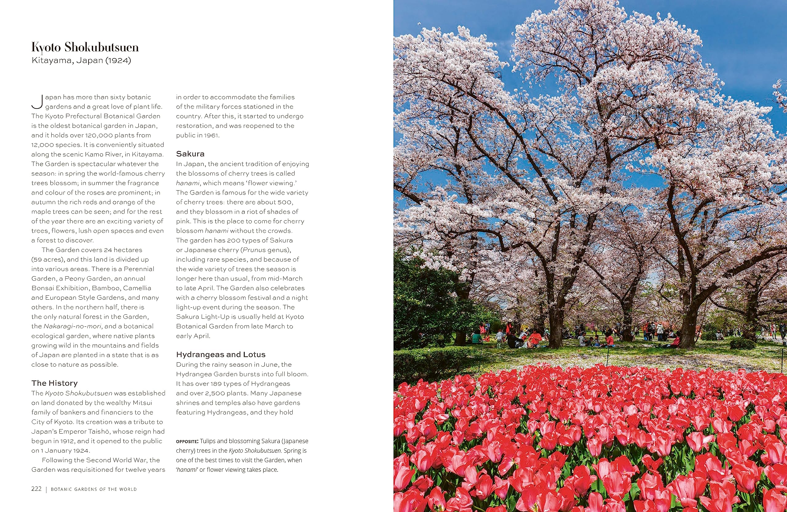 Botanic Gardens of the World: Tales of extraordinary plants, botanical history and scientific discovery